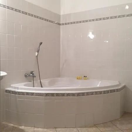 Karlovy Vary Apartments Appartement *