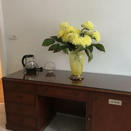 Karlovy Vary Apartments Appartement *